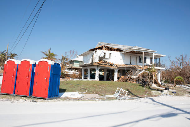 Reliable Stamford, CT Tree Removal Solutions